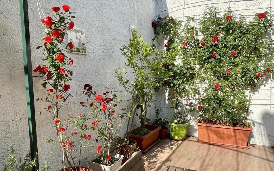 Casa Di Nicola Villa Cetara Eksteriør billede